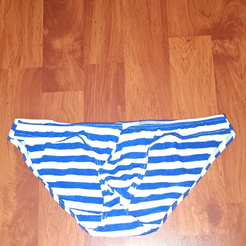 Blue and White Striped Bikini Bottom